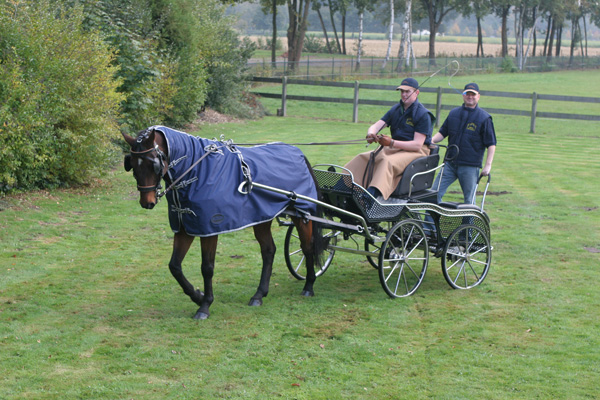 Carruagem puxada por cavalo com manta azul e dois homens no campo