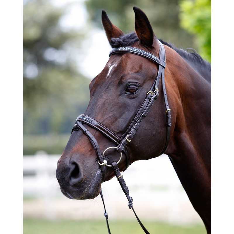Cavalo castanho com rédea e cabeçada preta ao ar livre