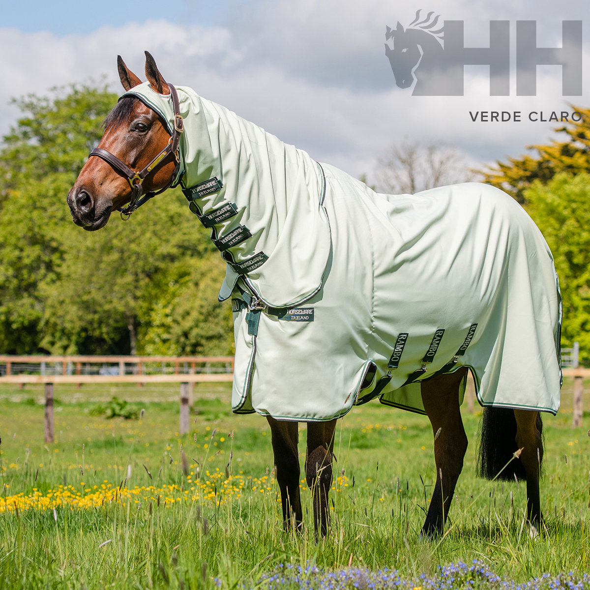 Cavalo com capa protetora VERDE CLARO da marca HH num prado verde