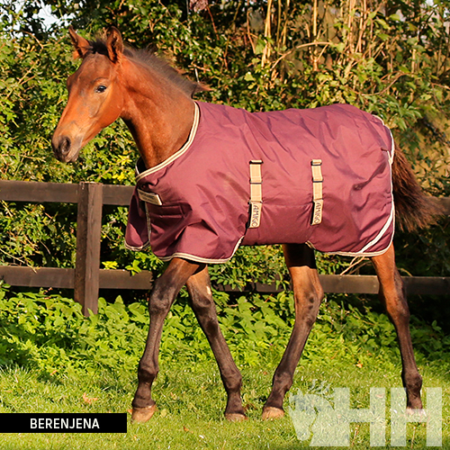 Cavalo com manta cor berinjela em área verde com cerca de madeira ao fundo.