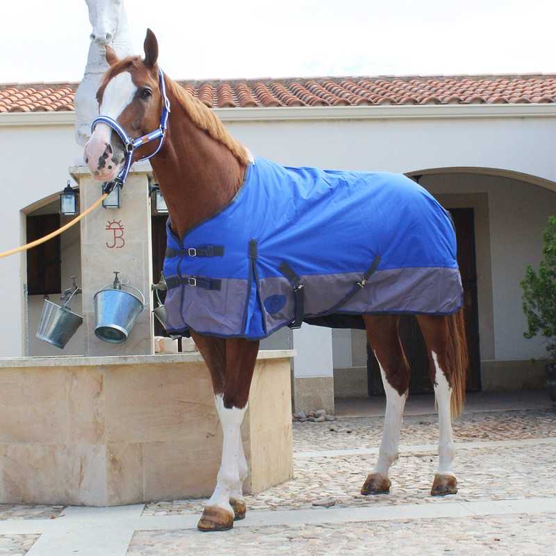 Cavalo castanho com manta impermeável azul junto a estrutura de pedra com baldes pendurados