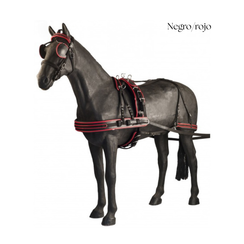 Cavalo preto com arreios de couro preto com detalhes vermelhos em fundo branco