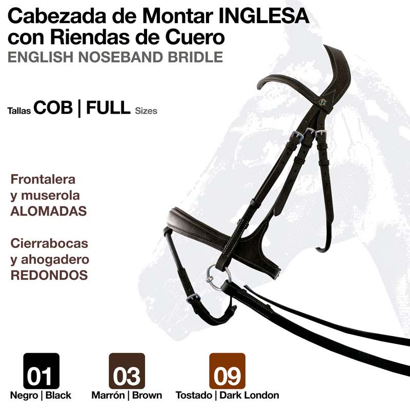 Cabeçada de montar inglesa com rédeas de couro em três cores e detalhes visíveis.