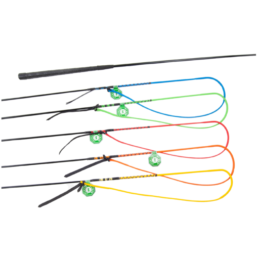 Cinco chicotes de equitação coloridos com cabos pretos e etiquetas de produto