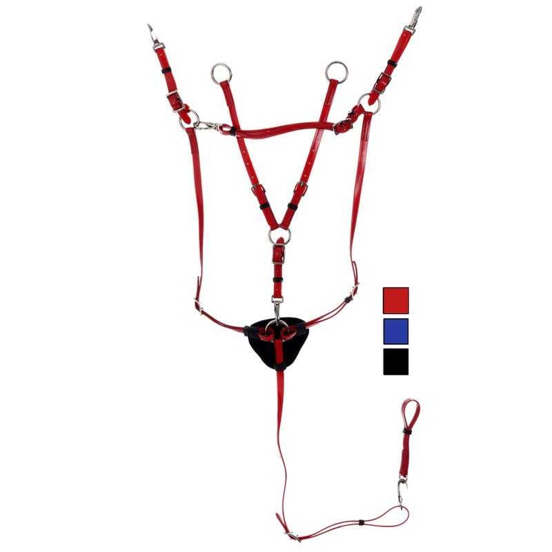 Arnês vermelho para animal de tração com argolas metálicas e parreira acolchoada preta