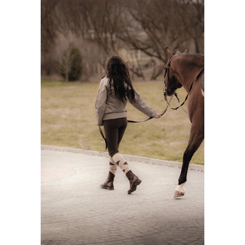 Mulher a conduzir cavalo castanho em exterior