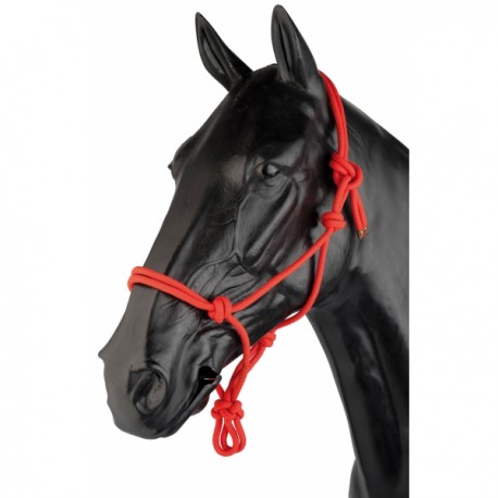Cabeça de cavalo negro com cabresto vermelho de corda
