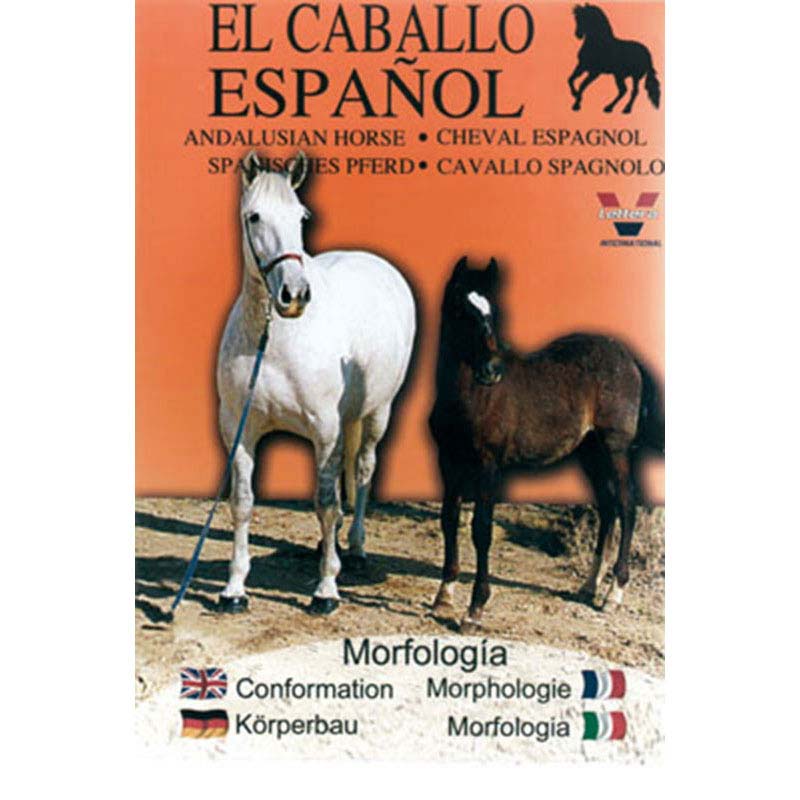 Cartaz de cavalo Andaluz com dois cavalos, texto multilíngue e fundo laranja
