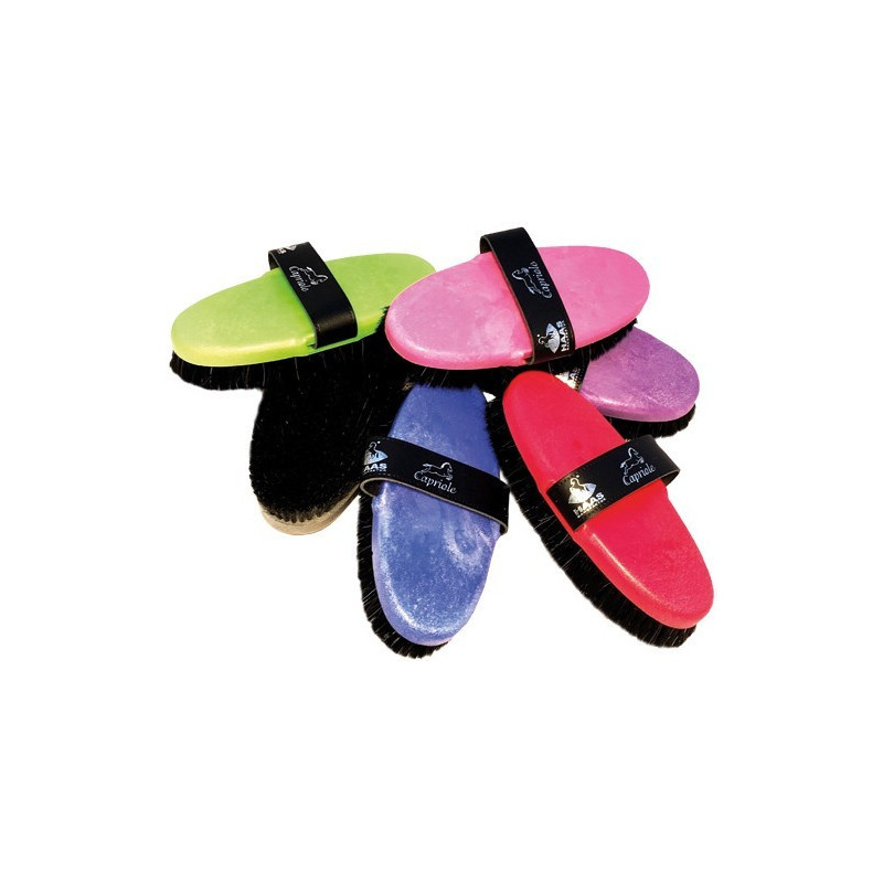 Conjunto de escovas coloridas com cerdas pretas e alças pretas com logótipos