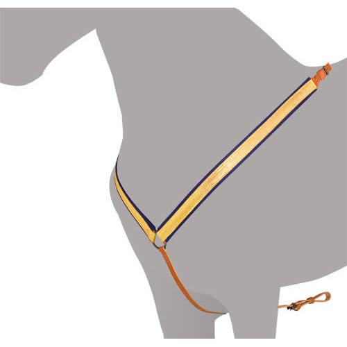 Corda de treino para cão bege e laranja com detalhes em azul escuro