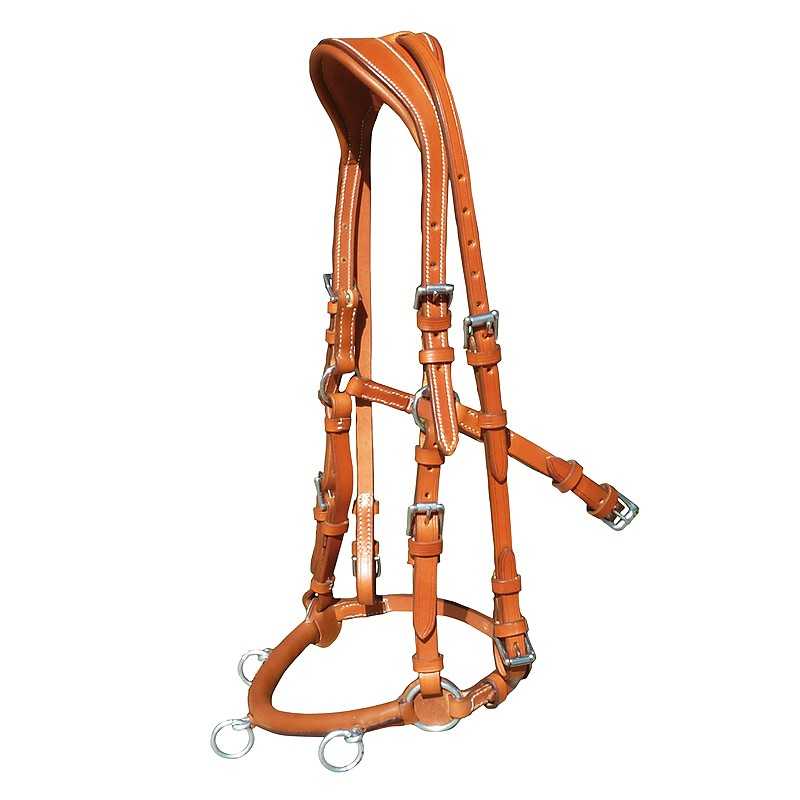 Aparelho de cabedal castanho para cavalo com fivelas metálicas