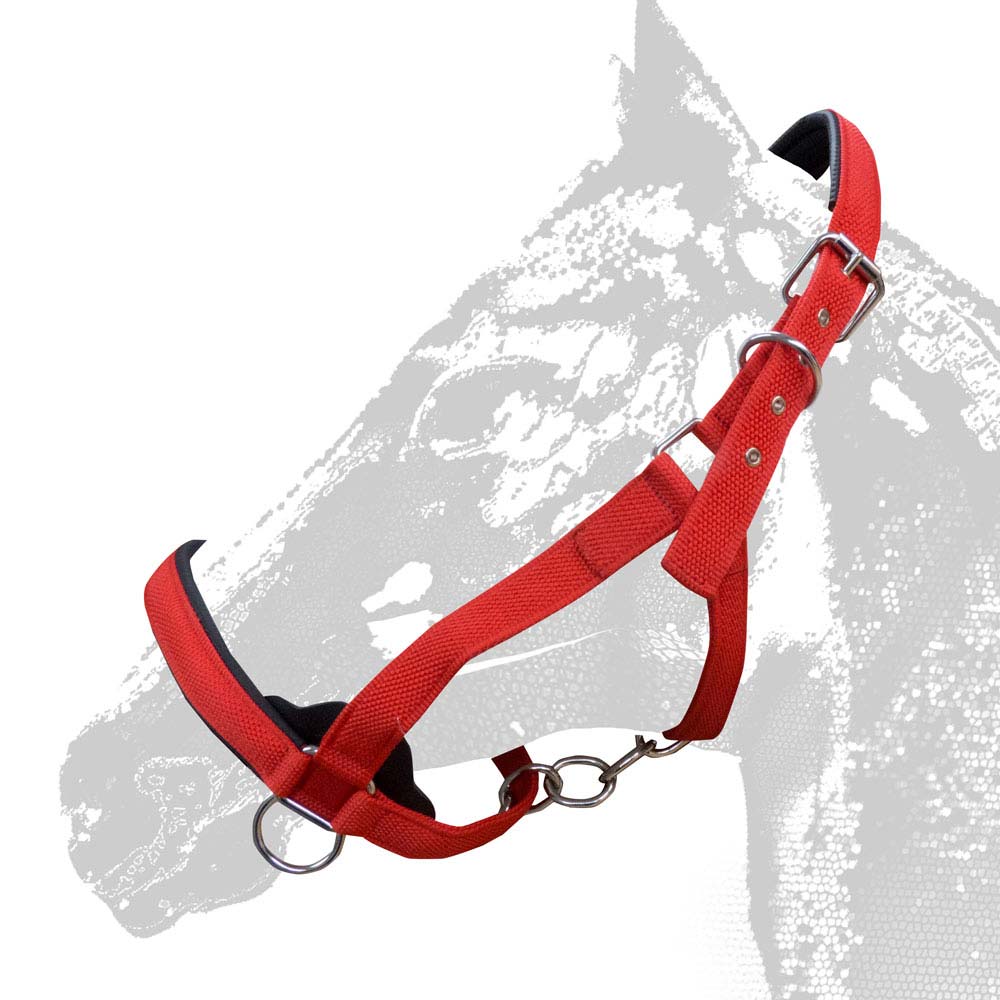 Cabresto de cavalo vermelho com argolas e ajustadores metálicos sobre fundo branco com silhueta de cavalo