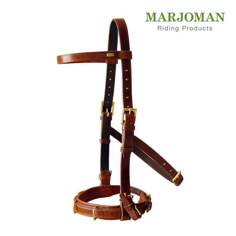 Cabresto de couro castanho para cavalo com fivelas douradas