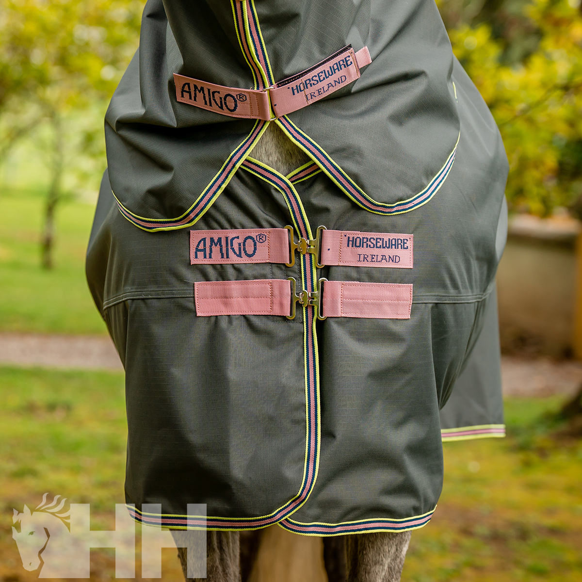Cobertura cinzenta para cavalo com ribetes amarelos e rosa, etiquetas AMIGO e HORSEWARE IRELAND