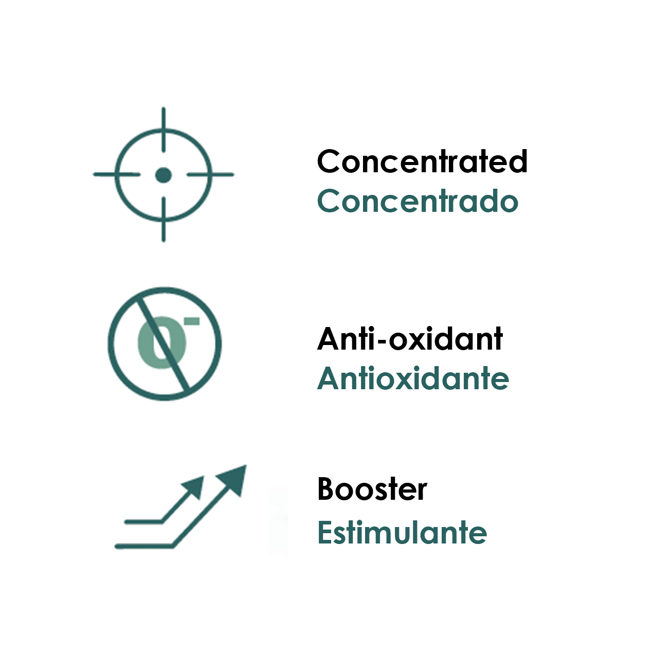 Ícones e texto em inglês e português sobre características do produto