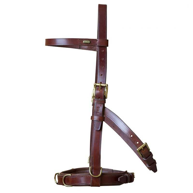 Cabresto em couro castanho com fivelas douradas e texto 'LEMI'