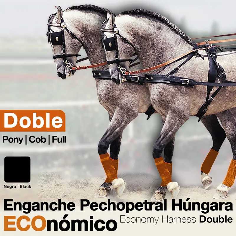 Dois cavalos cinzentos com arreios pretos e perneiras laranja num campo