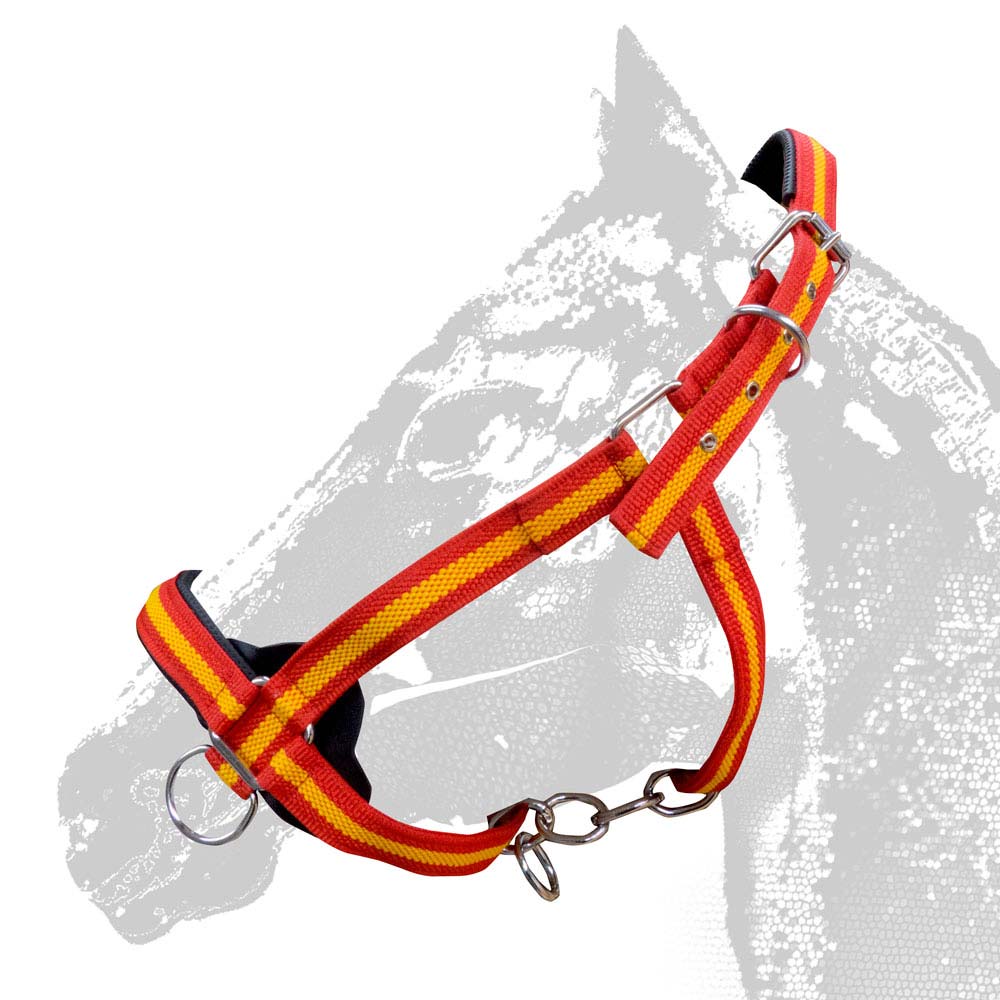 Peitoral tricolor para cavalo com argolas metálicas sobre fundo branco