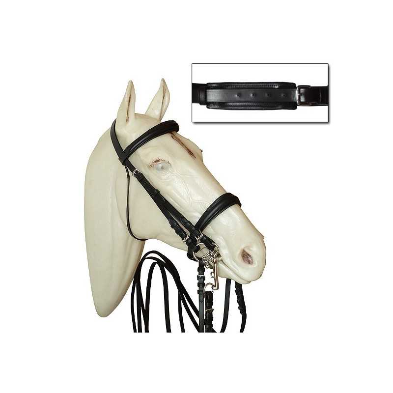 Cabeça de cavalo branco com embocadura preta de couro e rédeas com detalhes metálicos