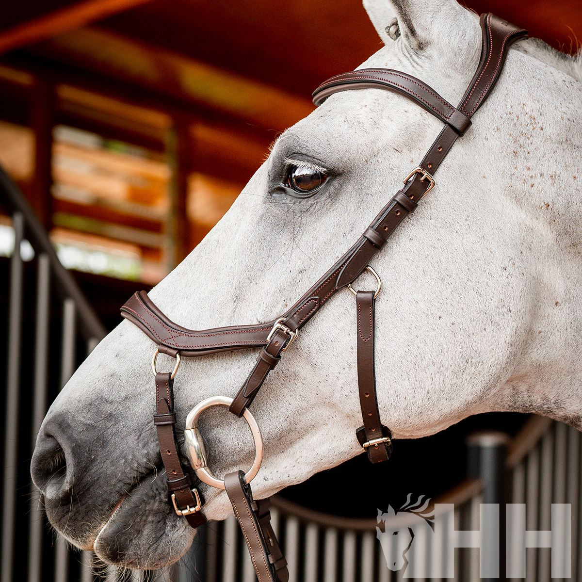 Cabeça de cavalo branco com rédea de couro castanho em estábulo