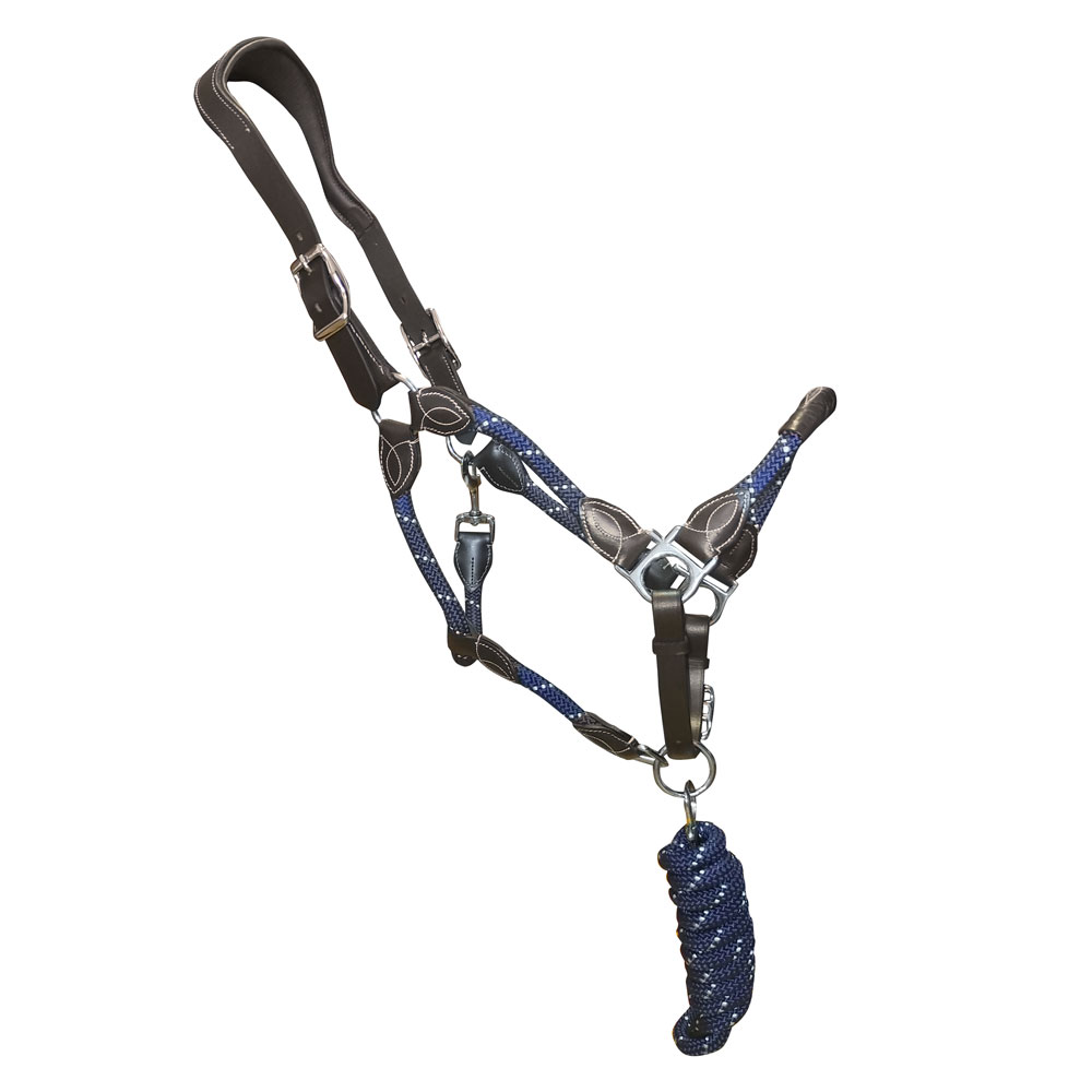 Cabresto para cavalo castanho com corda azul e metal