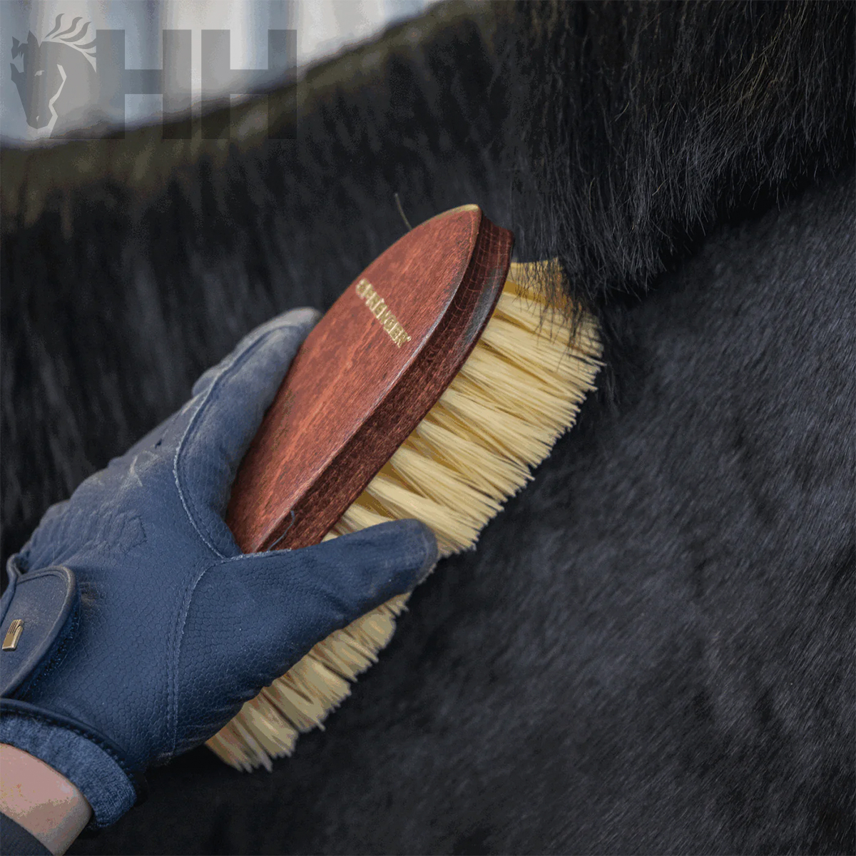 Escova para cavalos com cabo em madeira castanha e cerdas claras a ser usada em pelo negro
