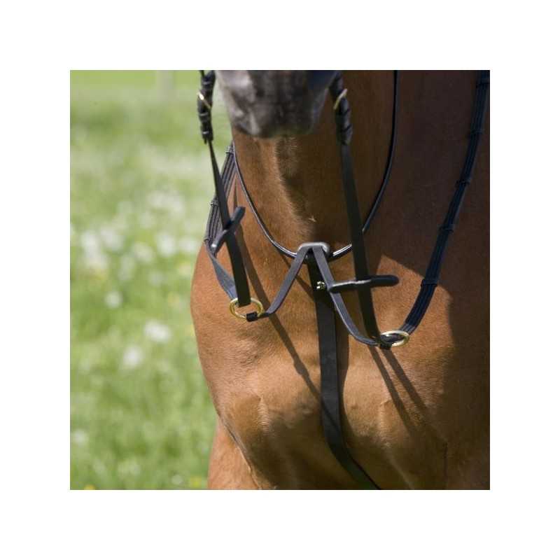 Cavalo castanho com freio preto e argolas metálicas em ambiente ao ar livre