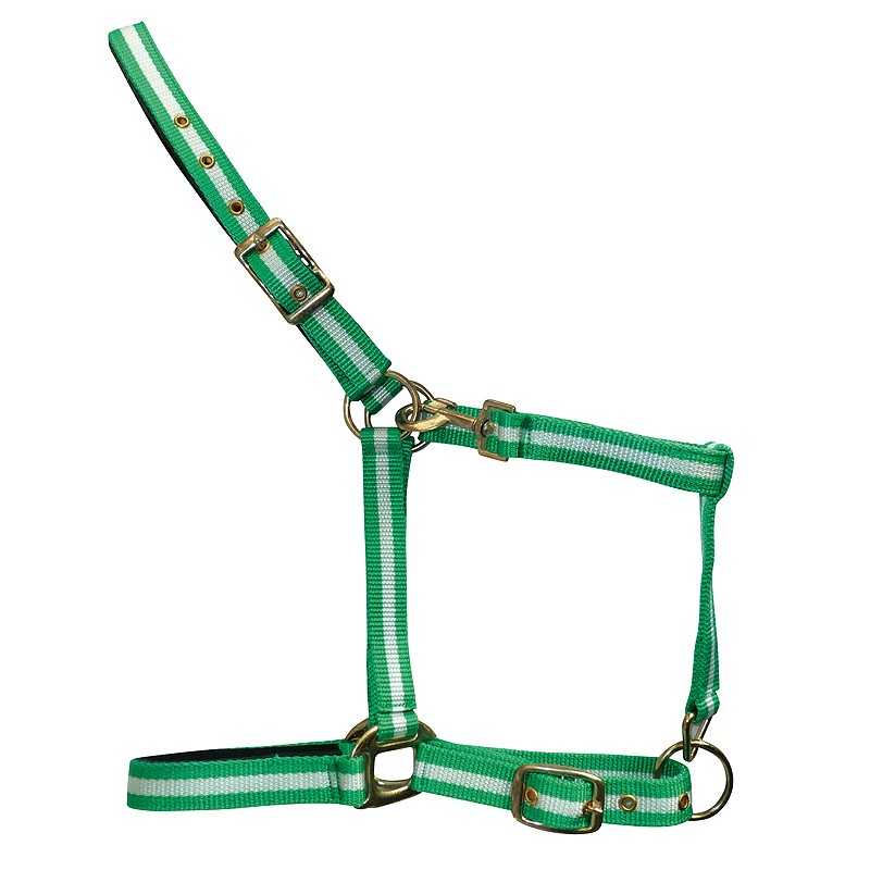 Cabresto verde e branco para animal com fivelas metálicas