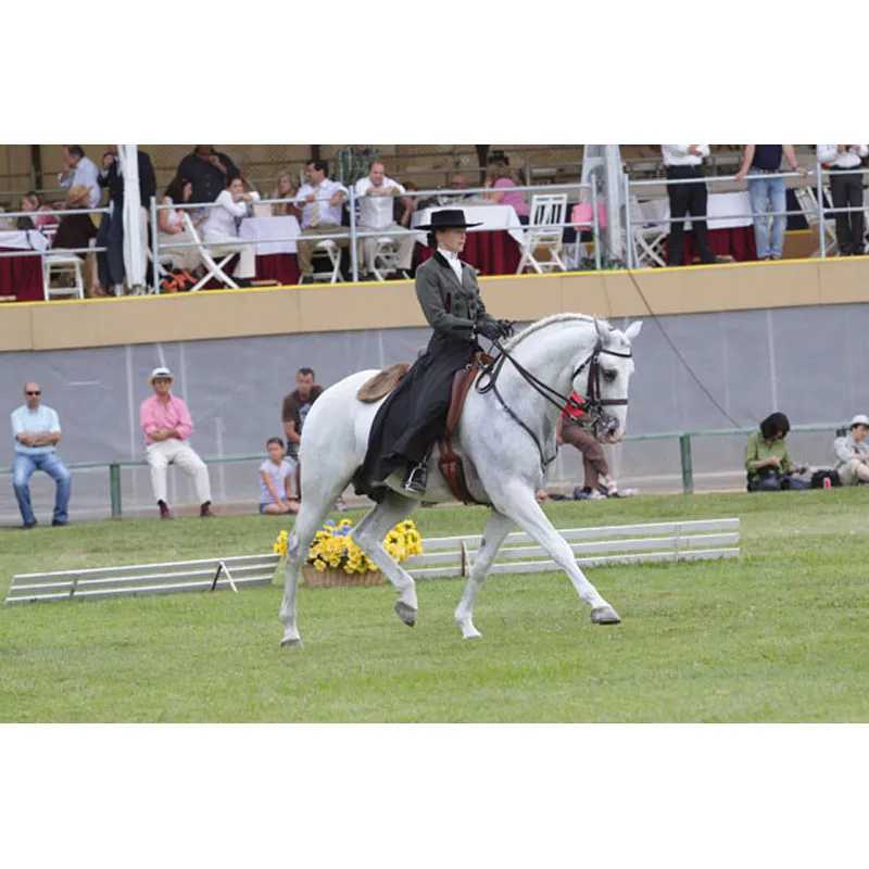 Cavalo branco com cavaleiro em traje tradicional num campo de relva com público ao fundo