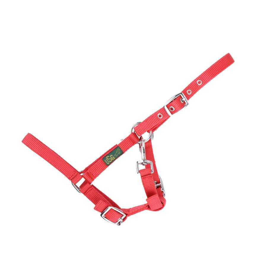 Cabresto vermelho para animais com fivela