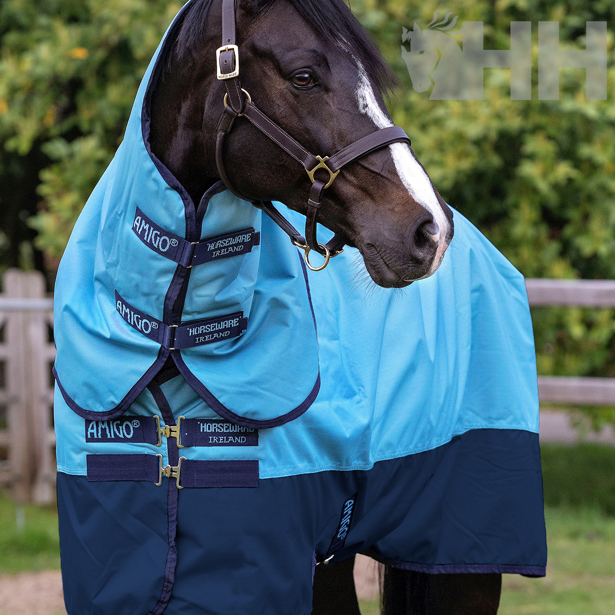 Manta para cavalo azul claro e azul escuro com detalhes e textos AMIGO e HORSEWARE IRELAND