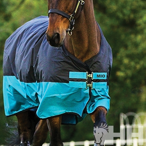 cobertura azul-turquesa e cinzento escuro para cavalo