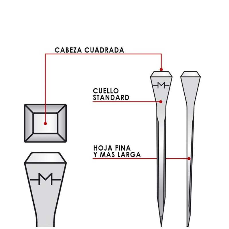 Desenho de prego com anotações em espanhol das partes da cabeça, pescoço e unha.