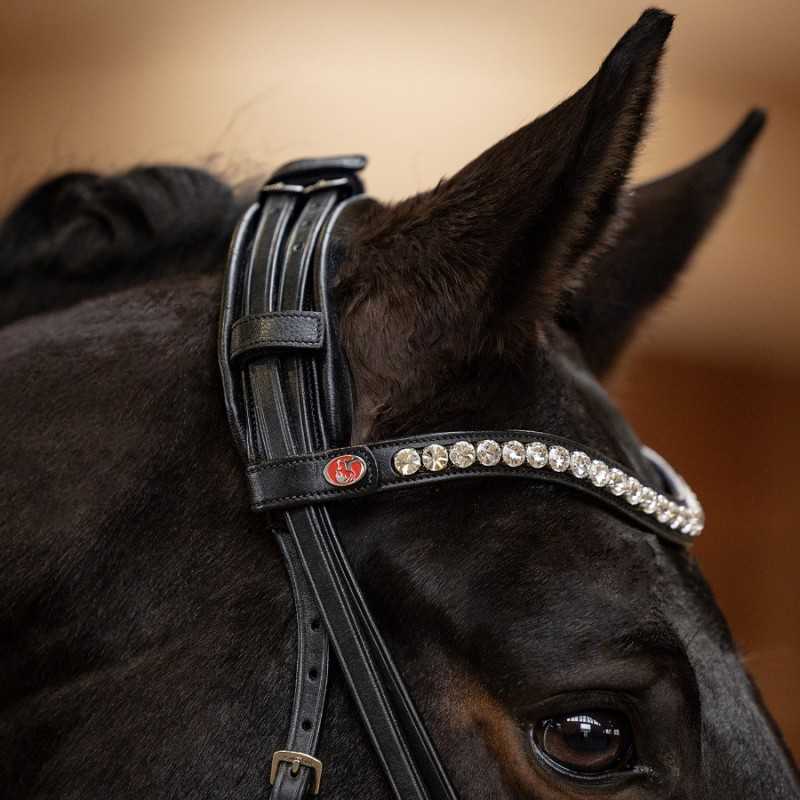 Cabeçada preta de couro com pedra brilhante na testa de cavalo preto