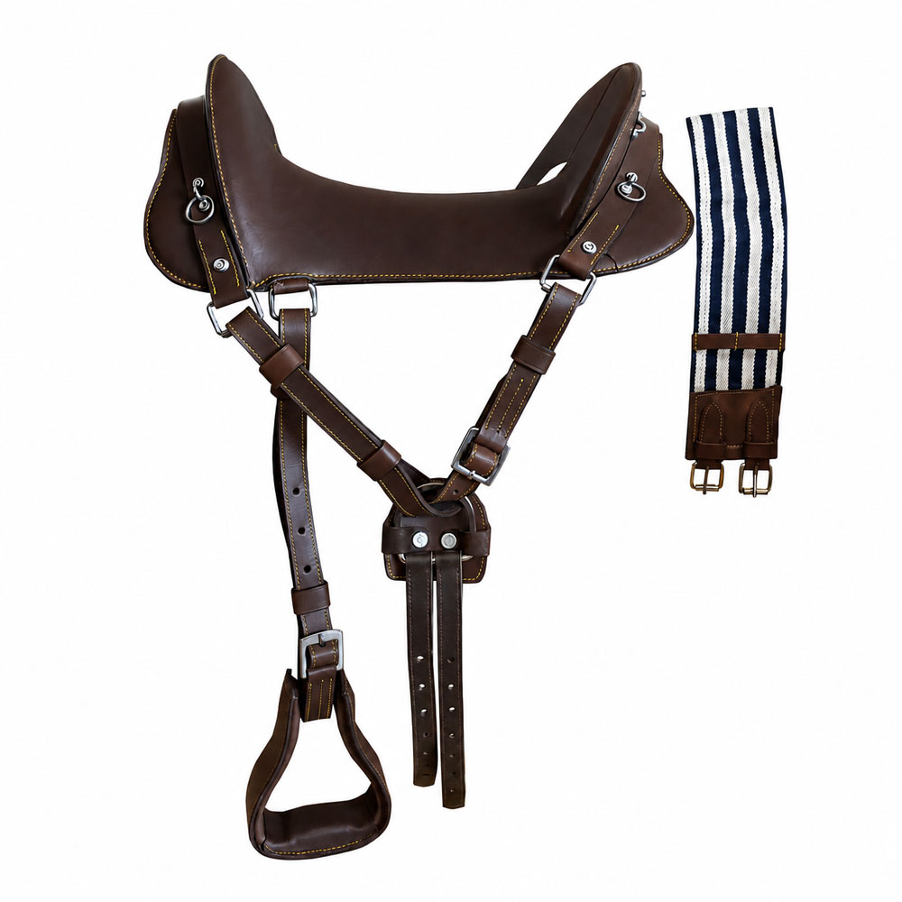 Sela de cavalo em pele castanha com cinto listrado azul e branco
