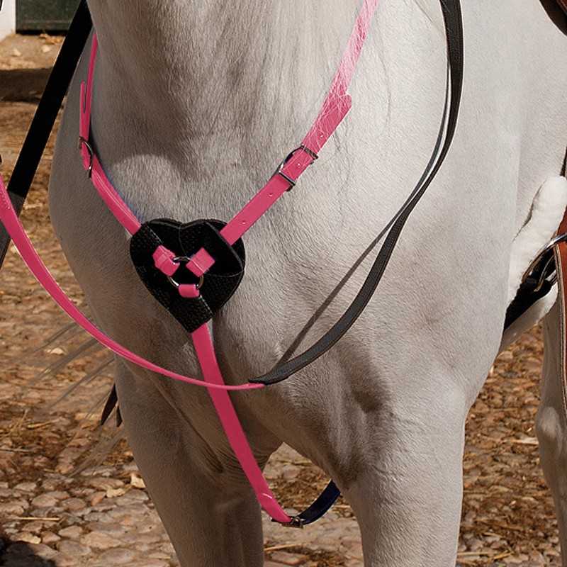 Peitoral rosa e preto com coração num cavalo branco