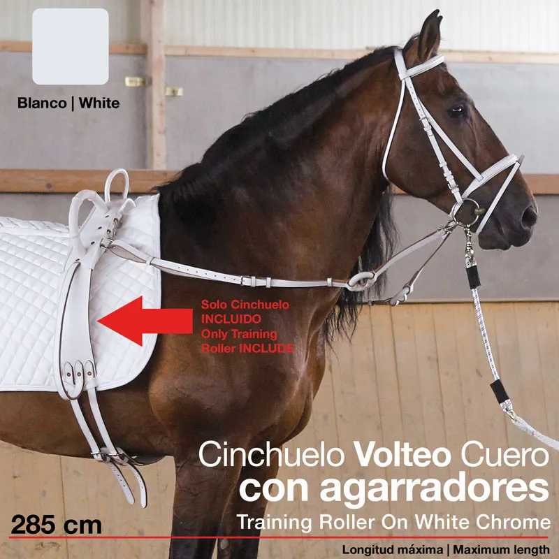 Cavalo castanho com selim branco e cinchuelo de couro branco com agarra dores