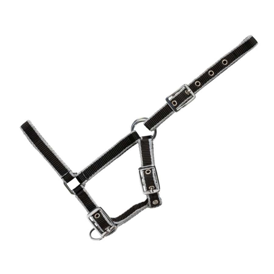 Cabresto preto para cavalo com fivelas metálicas