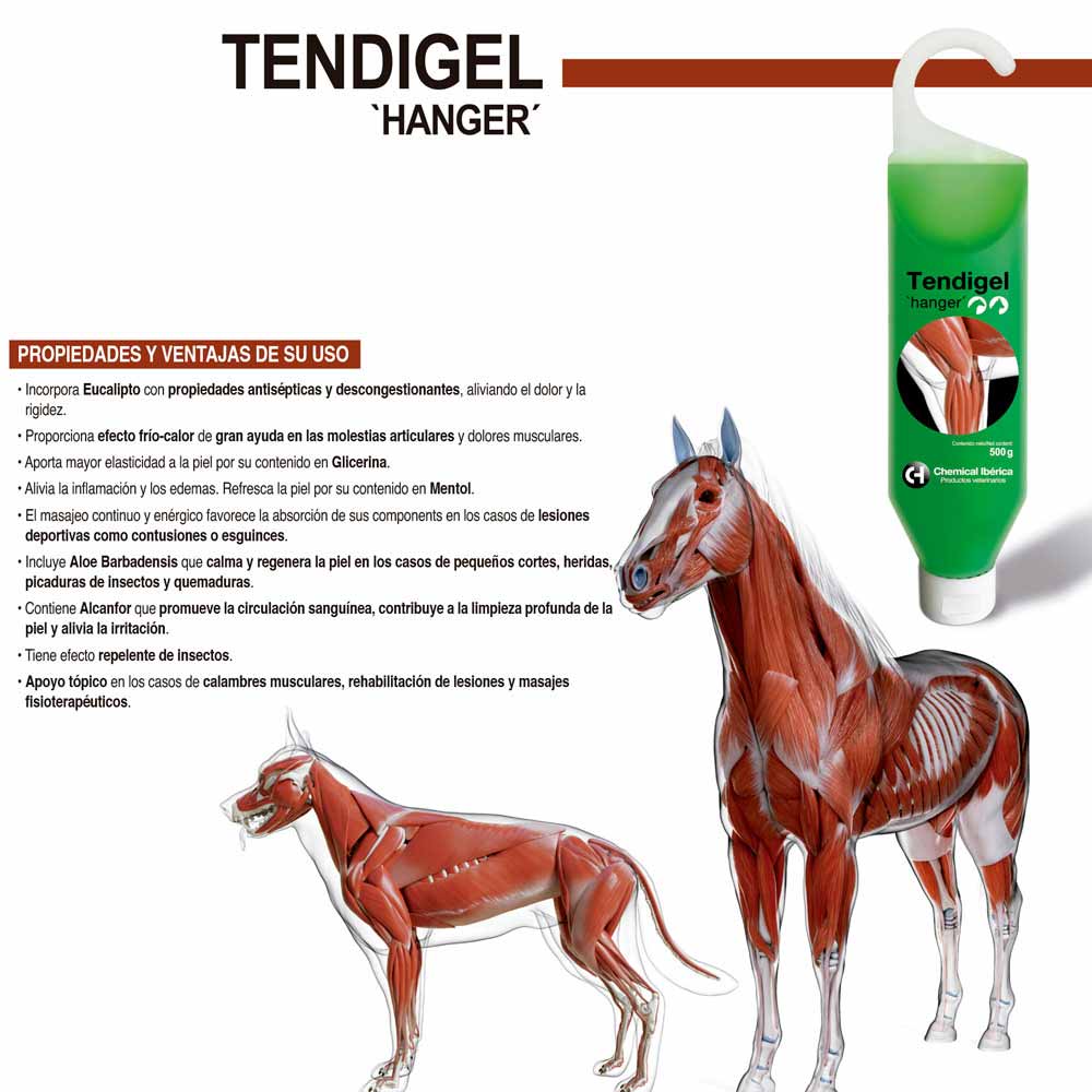 Embalagem verde de gel veterinário Tendigel Hanger com ilustrações musculares de um cavalo e um cão
