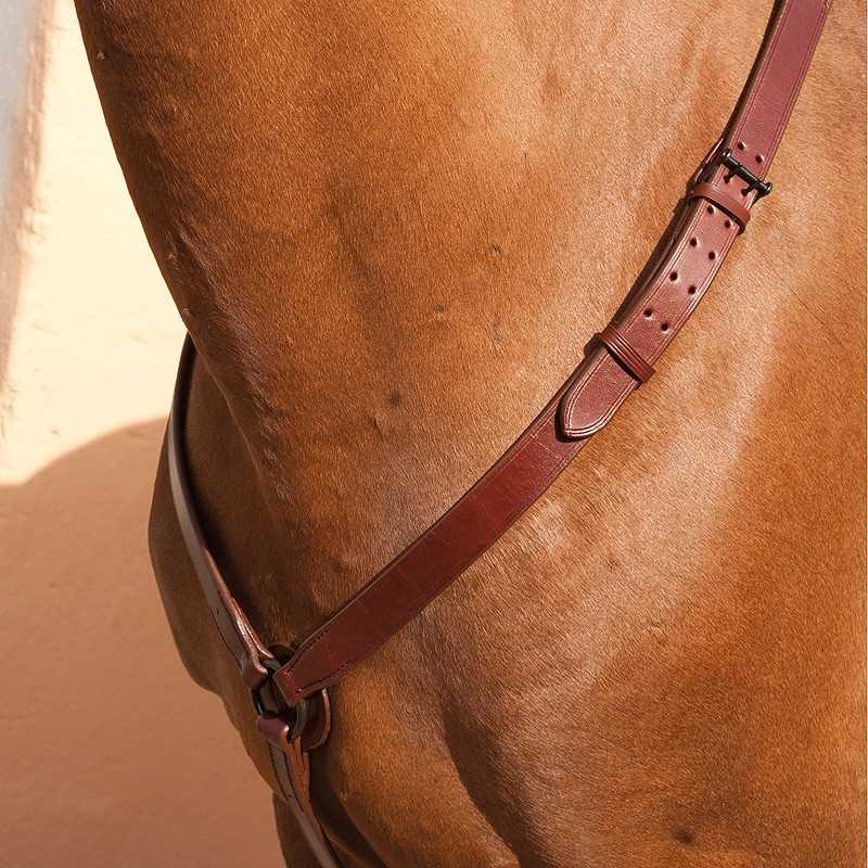 Correia de couro castanho com fivela metálica num cavalo castanho claro