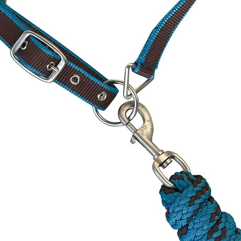 Coleira ajustável de nylon azul e castanha com fivela metálica e corda trançada.