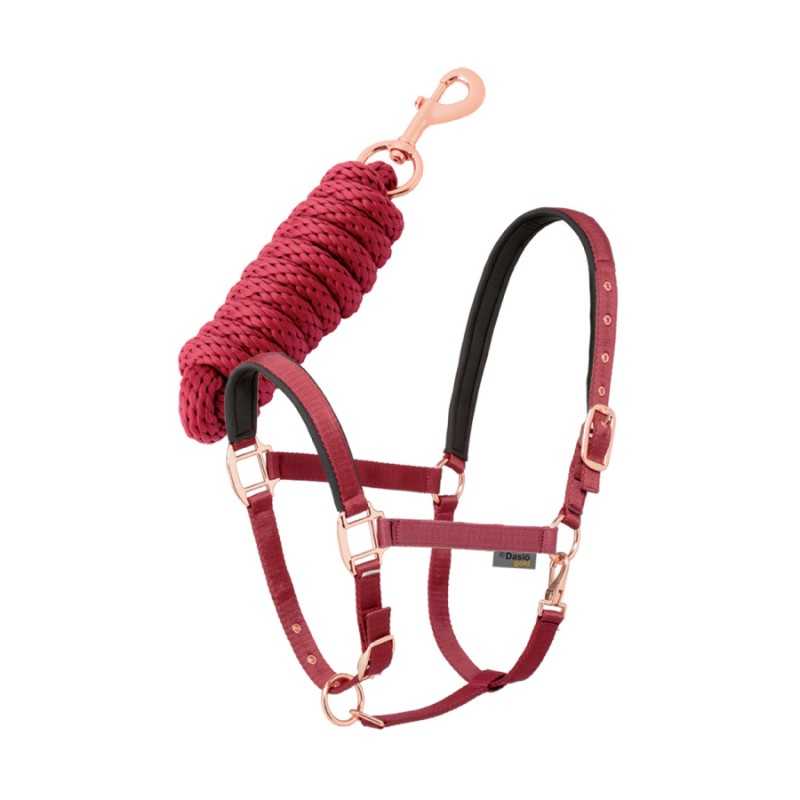 Conjunto de cabresto e guia para cavalo vermelho com detalhes dourados