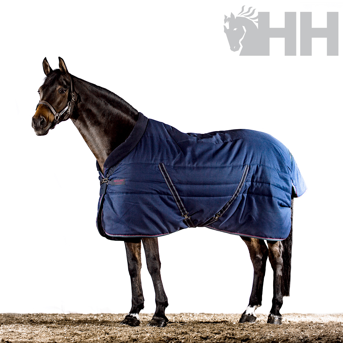 Cavalo com cobertor azul escuro acolchoado e fechos frontais