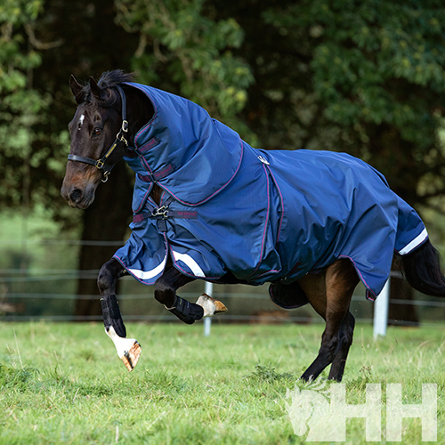 Cavalo com manta azul a correr em relva