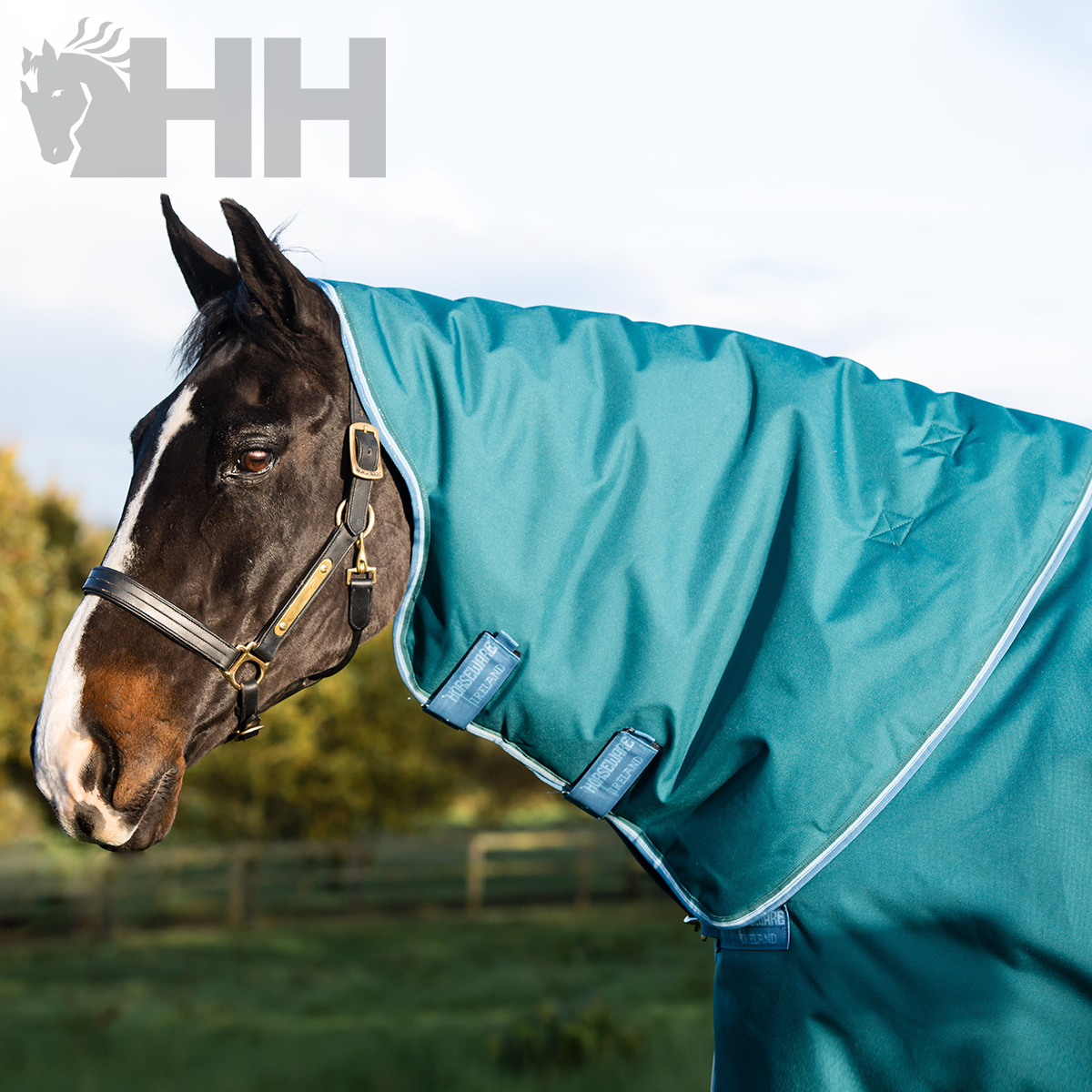 Cavalo com manta azul-turquesa e trela ao ar livre