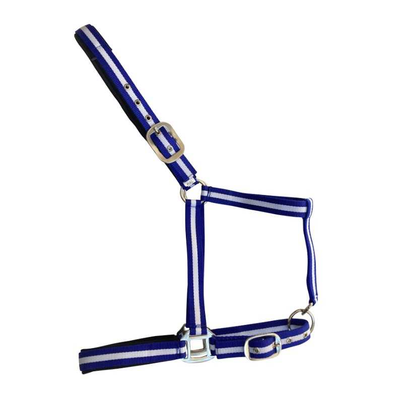 Cabresto azul e branco em tecido com fivelas metálicas