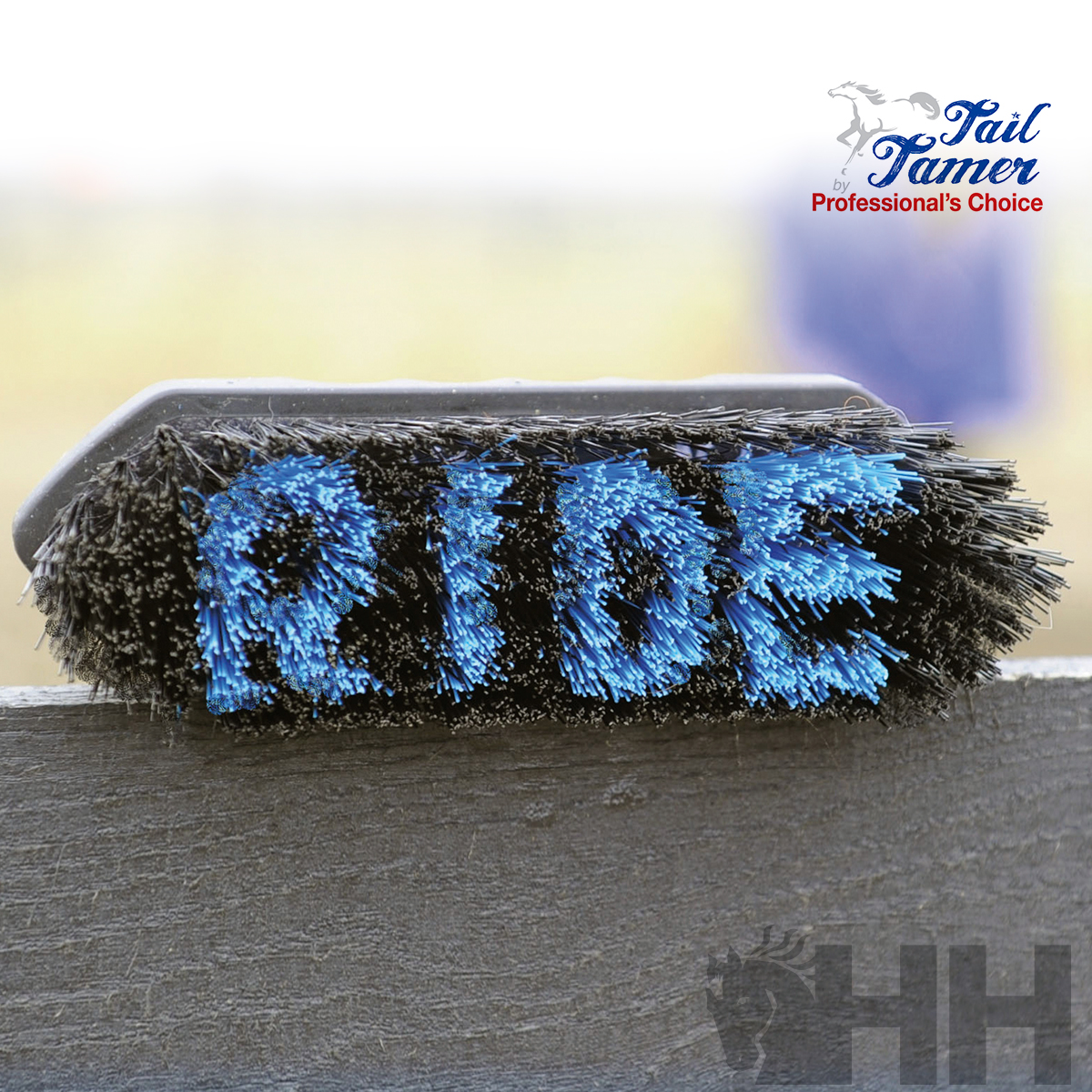 Escova de limpeza com a palavra RIDE em azul nas cerdas, sobre madeira escura.