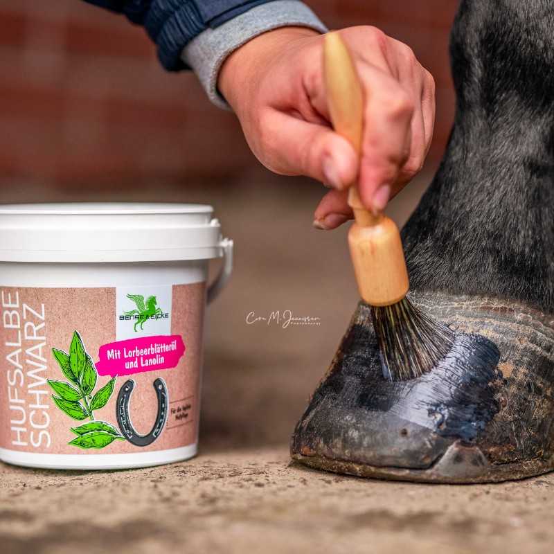 Aplica-se pomada preta numa ferradura com pincel, junto a recipiente branco de produto para cascos.