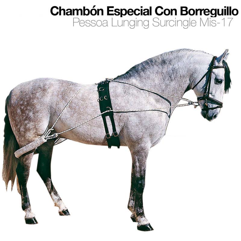 Cavalo cinzento com arreio preto e cordas brancas, texto de produto acima