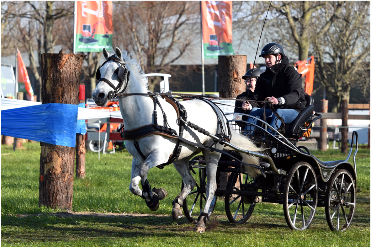 Cavalo branco puxando carruagem preta com dois ocupantes em ambiente exterior